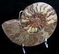 Beautiful Split Ammonite Pair - Agatized #6406-2